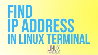 How to Find Your IP Address in Linux Terminal [upl. by Nonad526]