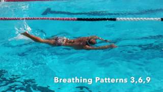 Slow Motion Breathing Patterns Freestyle Front Crawl [upl. by Yennej]