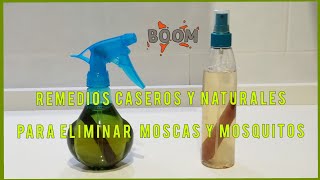 REMEDIOS CASEROS Y NATURALES PARA ELIMINAR MOSCAS Y MOSQUITOS NO MÁS INSECTICIDAS [upl. by Haldi]