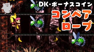 71 コンベア ロープ DKコイン・ボーナスコイン攻略【スーパードンキーコング3】Donkey Kong Country 3  Konveyor Rope Klash [upl. by Rodavlas]