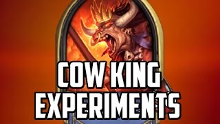 Cow King Experiments [upl. by Weisler407]