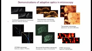 ALPAO Webinar Adaptive Optics in microscopy benefits and trends [upl. by Ainatnas]