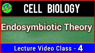 Endosymbiotic Theory  Symbiogenesis  Evolution Of Eukaryotic Cell [upl. by Harrow]