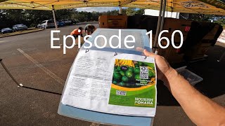 Food distribution at Wahiawa Episode 160 [upl. by Naginnarb]