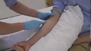 How to select the best vein for clinical skills cannulation and venepuncture [upl. by Wey]