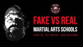 The Pit Online Dojo Fake vs Real Martial Arts Schools [upl. by Chapnick]