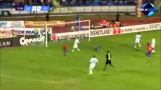 Steaua Bucharest Goals 20122013 Liga 1 [upl. by Nirtiac]