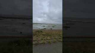 Live storm in Terneuzen Province of Zeeland August 6 2023 [upl. by Olpe181]