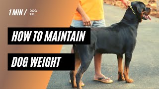 How to Maintain Dog Weight in Tamil  Chatty Rotty  1 Min Dog Tip  Shorts  CRShorts [upl. by Orimar577]