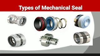 Types of Mechanical Seal [upl. by Sufur368]