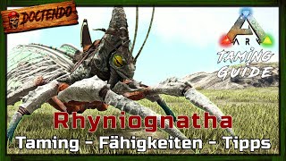 ARK Taming Guide ★ Rhyniognatha zähmen  Heißhunger  Tipps und Tricks  Doctendo [upl. by Solhcin]