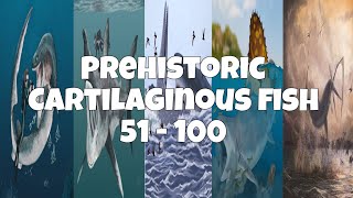 Prehistoric Cartilaginous Fish 51  100 25 [upl. by Child]