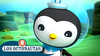 Los Octonautas  ¡Médico al rescate  Episodios Completos [upl. by Voleta]