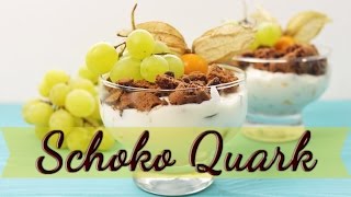 SCHOKO QUARK Nachtisch mit Früchten  DESSERT IM GLAS selber machen schnell amp einfach [upl. by Trelu294]