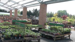 Gordale Garden Centre South Wirral [upl. by Aronal856]