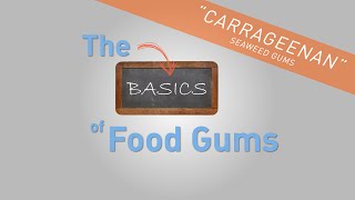 Carrageenan  The Basics of Food Gums [upl. by Aicileb]