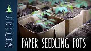 Square Paper Seedling Pots  Quick Easy and Biodegradable [upl. by Sedgewinn485]