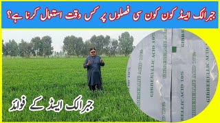 How to use Gibberellic acid all Crop information Wheat vegetable and garden farming [upl. by Lina]