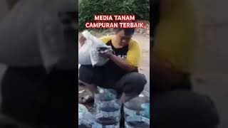 MEDIA TANAM CAMPURAN TERBAIK mediatanamorganik [upl. by Nnaes]