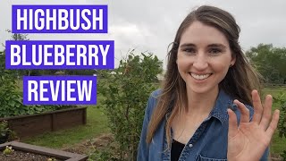 Highbush Blueberry Review [upl. by Alfie]