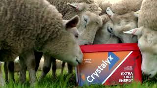 Crystalyx National TV Advert [upl. by Hsu]