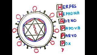 Easy ways to remember DNA viruses in less than 60 seconds [upl. by Eadrahs859]