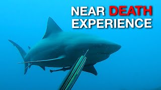 Near Death Experience  Bull Shark Attacks [upl. by Enelhtak]