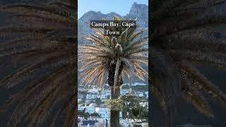 Camps Bay Cape Town [upl. by Derej902]