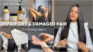 How to repair DAMAGED HAIR in 6 easy steps HairCare LorealProIndia LorealProfIndia AD [upl. by Mame483]