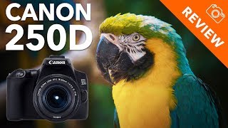 Beste allround spiegelreflex camera  Canon 250D Review  Kamera Express [upl. by Zusman818]