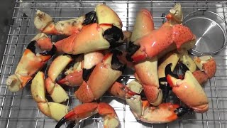 Seafood Boil  Stone Crab Feast [upl. by Enuj]