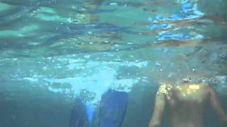 John Frusciante Unreachable Live Underwater [upl. by Rabbi433]