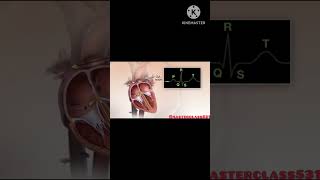 Conduction system of heart Sinoatrial nodeAV node Anatomy amp physiology shorts viral 3d ECG [upl. by Audri]