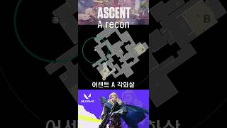 소바 어센트 A 각화살 sova ascent A recon7 [upl. by Thorman8]