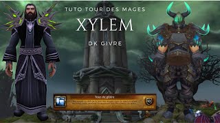 Tuto Xylem Tour des mages  DK Givre  915 [upl. by Ensoll]