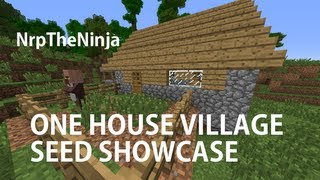 Minecraft Seed Sundays 1 House Village [upl. by Dorahs202]