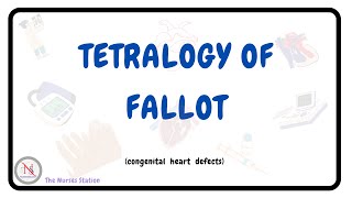 TETRALOGY OF FALLOT  Causes  Pathophysiology Diagnosis  Surgical Treatment  Nursing Management [upl. by Neelram]