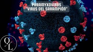 15 Paramyxovirus Sarampión y Paperas [upl. by Stannfield389]