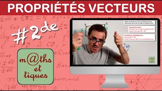 Utiliser des propriétés sur les vecteurs  Seconde [upl. by Rives]