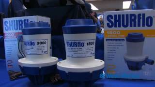 Shurflo Livewell Pumps [upl. by Tonry571]