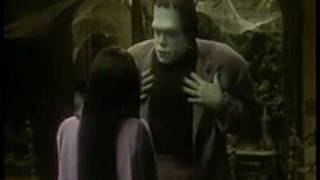 quotThe Munsters Todayquot 1988 Network Promo The New Munsters [upl. by Nnaarual]