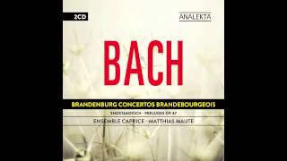 Johann Sebastian Bach gone wild Brandenburg concerto No 1 Allegro  Ensemble Caprice [upl. by Richardson]