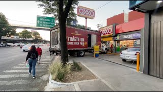 Que Perro Oso Con El Oxxo [upl. by Laehcym]