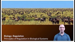 KBio Regulation 1 An Overview of Biological Regulation [upl. by Leelah]