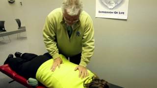 The Chiropractic Adjustment with Dr Fred Schofield [upl. by Eisserc]