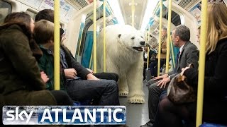 Polar Bear Let Loose In London  Fortitude [upl. by Sahpec]