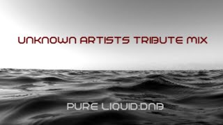 Unknown Artists Tribute Mix Pure Liquid Mix292 [upl. by Eckel]