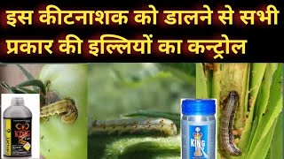 इल्लियों के लिए बेस्ट दवाई ।indoxacarb 145sc ।kingdoxa । indoxacarb use।किंगकार्व कीटनाशक । [upl. by Lemor]