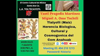 Tlalyolli Maiz Herencia Biologica Cultural y Cosmogonica del Cem Anahuak [upl. by Gnni211]