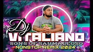 DJ VITALIANO X Nonstop 2024 [upl. by Gnoud209]